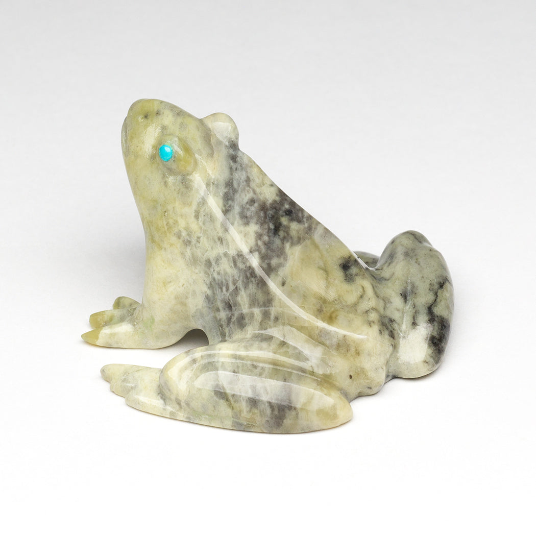 Found Serpentine Frog