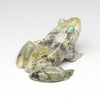Found Serpentine Frog