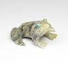 Found Serpentine Frog