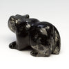 Apache Gold Bear