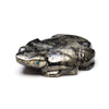 Apache Gold Amphibian