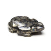 Apache Gold Amphibian