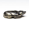 Apache Gold Amphibian