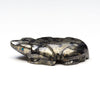 Apache Gold Amphibian