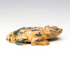 Horned Lizard Guide