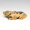 Horned Lizard Guide