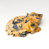 Horned Lizard Guide
