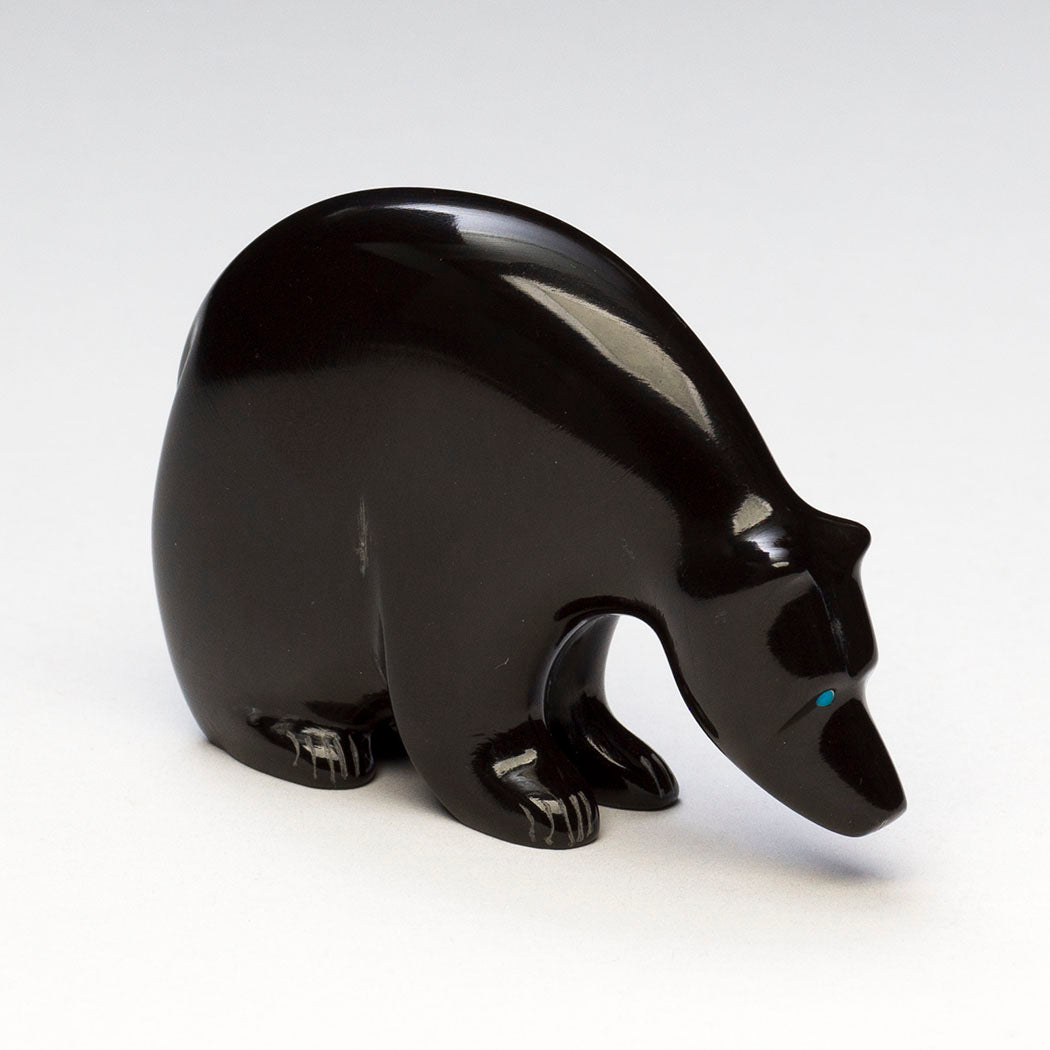 Interconnected Medicine Bear