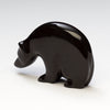 Interconnected Medicine Bear