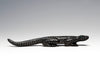 Basking Lizard