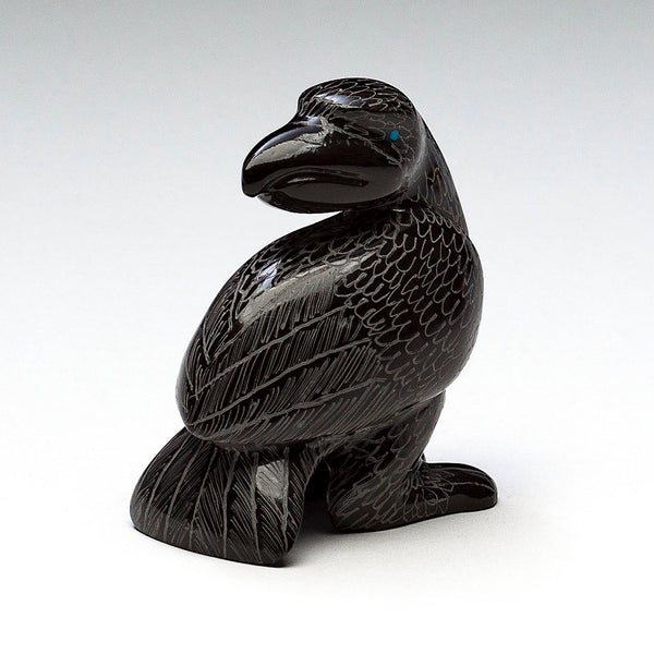 Observant Raven