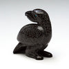 Observant Raven