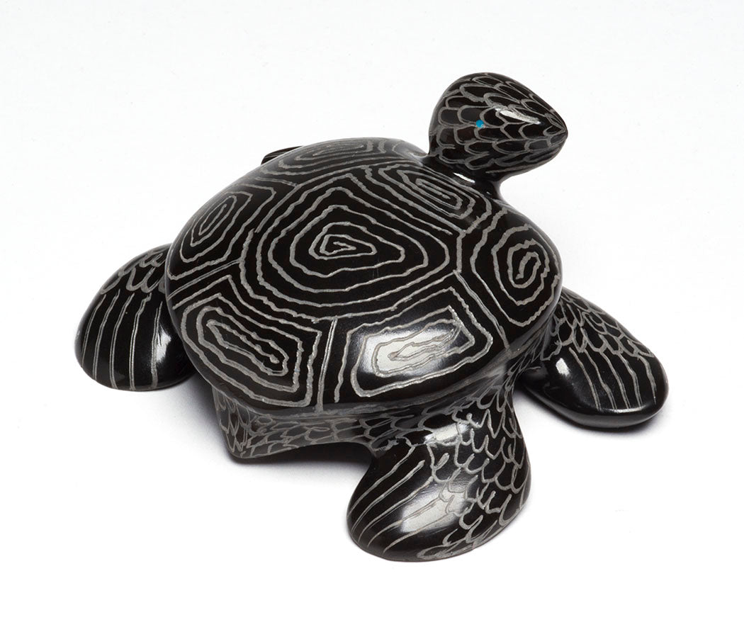 Sgraffito Sea Turtle