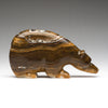 Cycles Of Life Medicine Bear