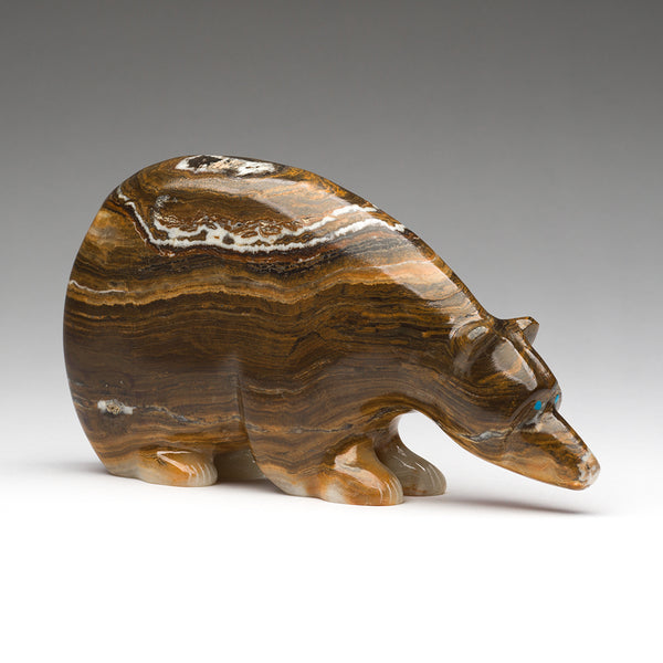 Cycles Of Life Medicine Bear