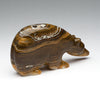 Cycles Of Life Medicine Bear