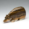 Cycles Of Life Medicine Bear