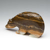 Cycles Of Life Medicine Bear