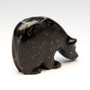 Shadows Deepen Bear