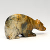 Gentle Medicine Bear