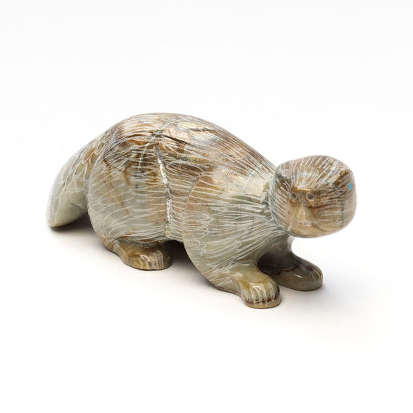 Beaver The Water Assessor