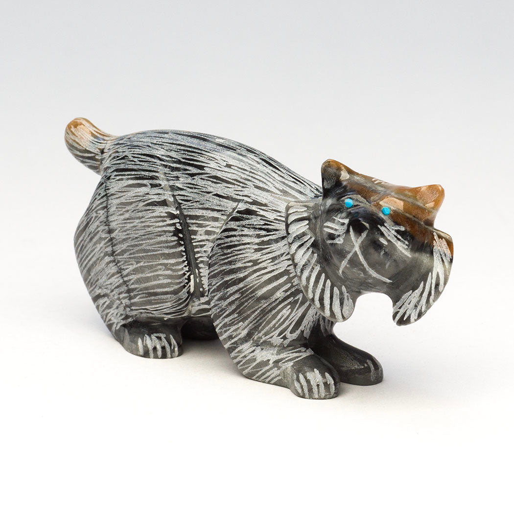 Ornamented Bobcat