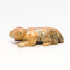 Fantastic Froglet