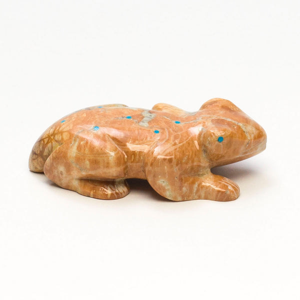 Fantastic Froglet