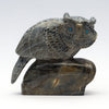 Pursuit Of Knowledge Owl