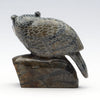 Pursuit Of Knowledge Owl