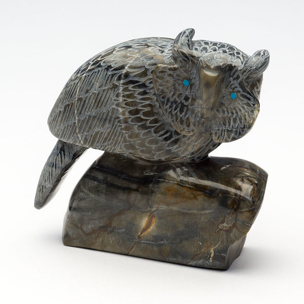 Pursuit Of Knowledge Owl
