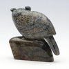 Pursuit Of Knowledge Owl