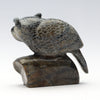 Pursuit Of Knowledge Owl