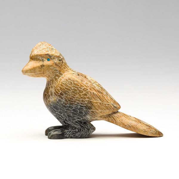 Trailblazer Roadrunner