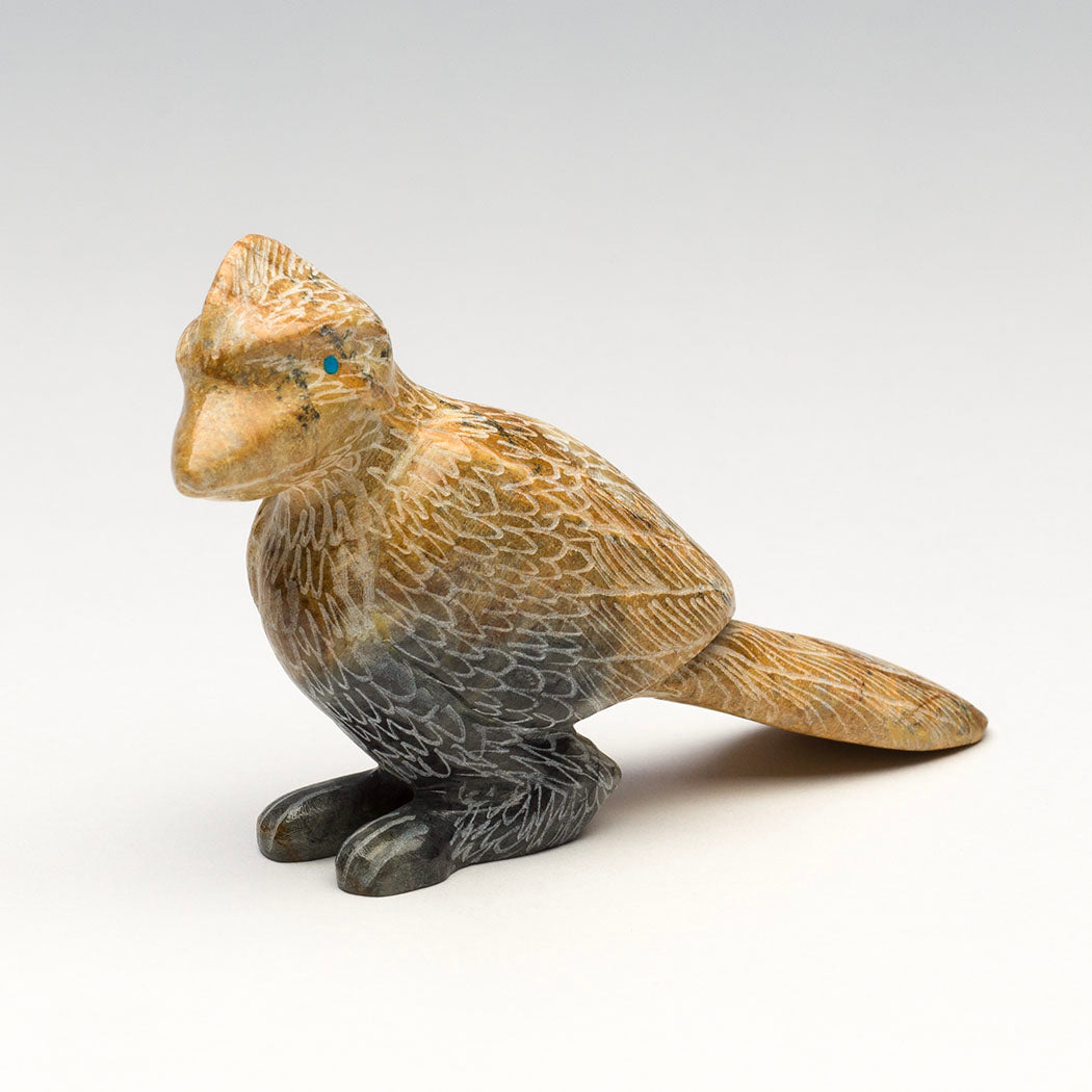 Trailblazer Roadrunner