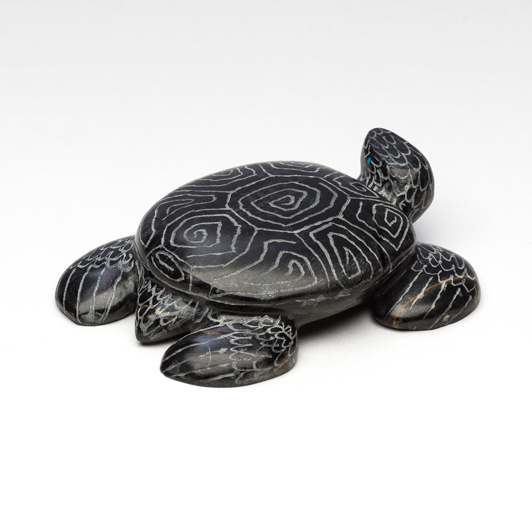 Sgraffito Sea Turtle