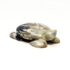 Pine Forest Turtle