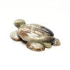 Pine Forest Turtle