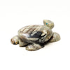 Pine Forest Turtle