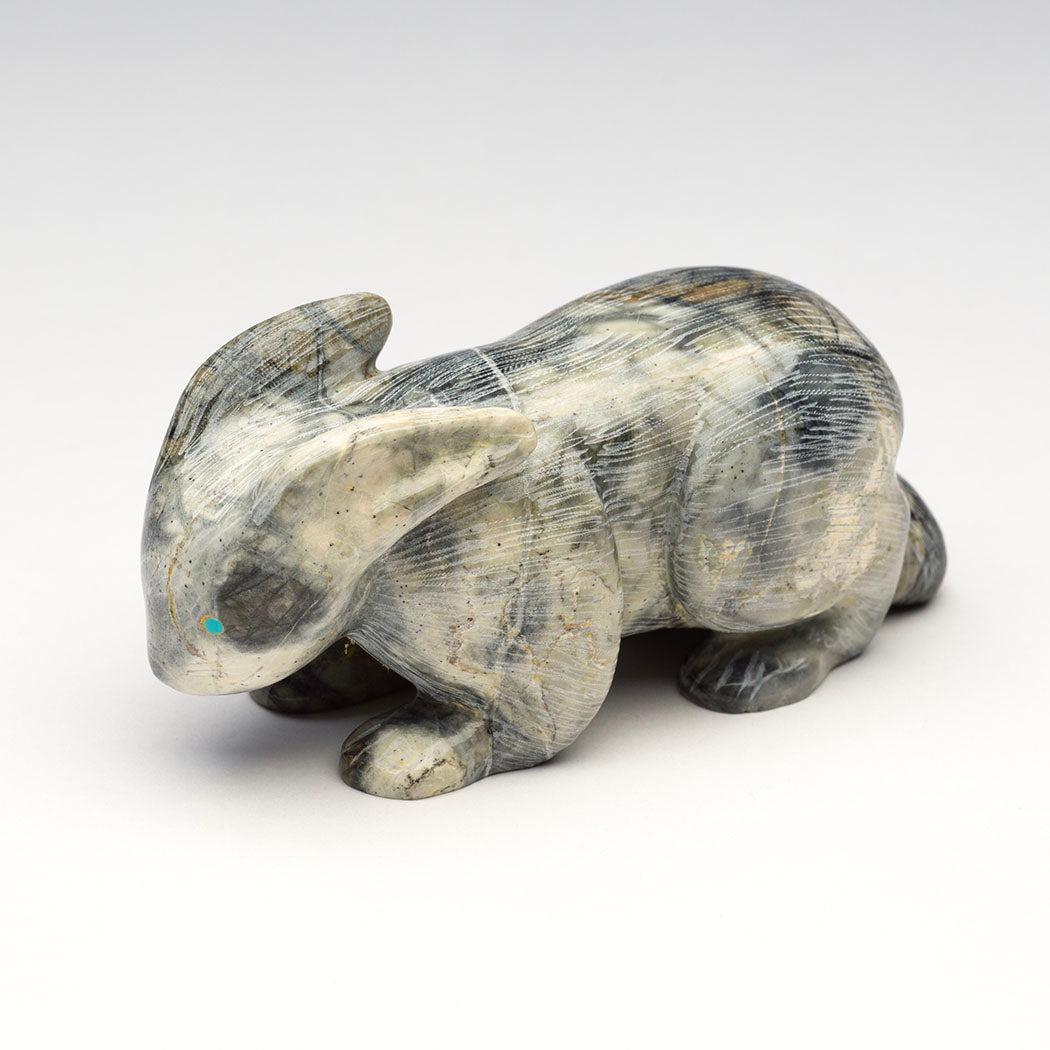 Eyespot Bunny