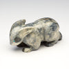 Eyespot Bunny