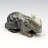 Eyespot Bunny