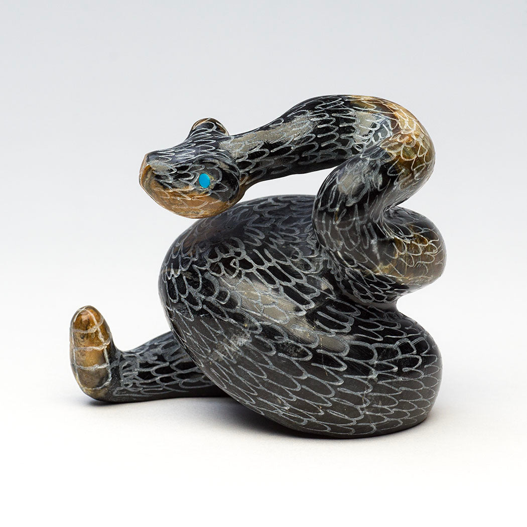 Young Rattlesnake