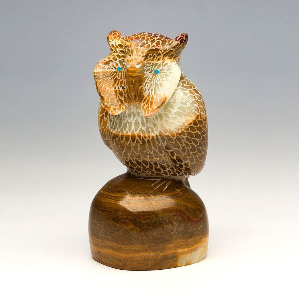 Moonlight Reflections Owl