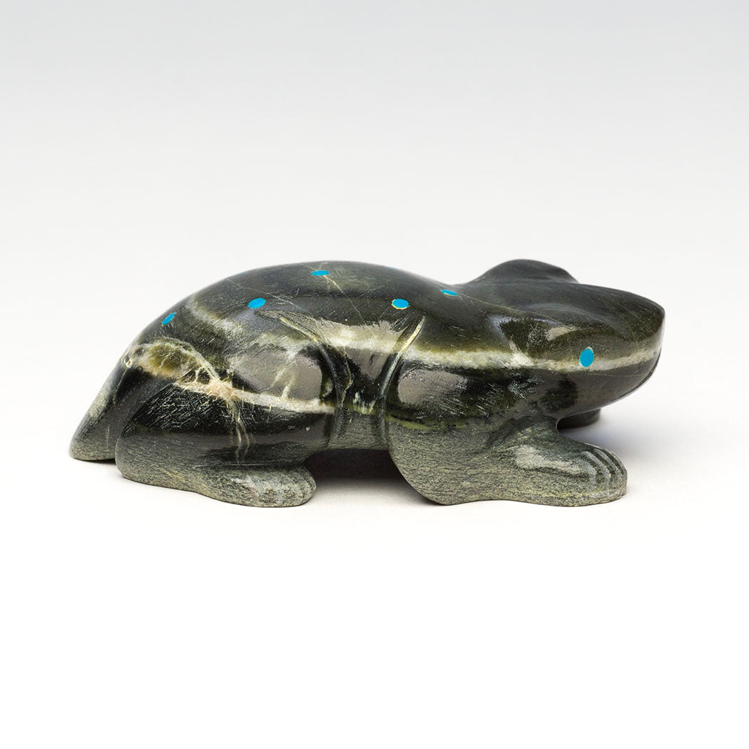 Pond Froglet
