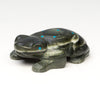 Pond Froglet