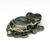 Pond Froglet
