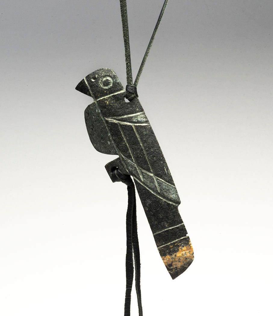 Black-Billed Magpie