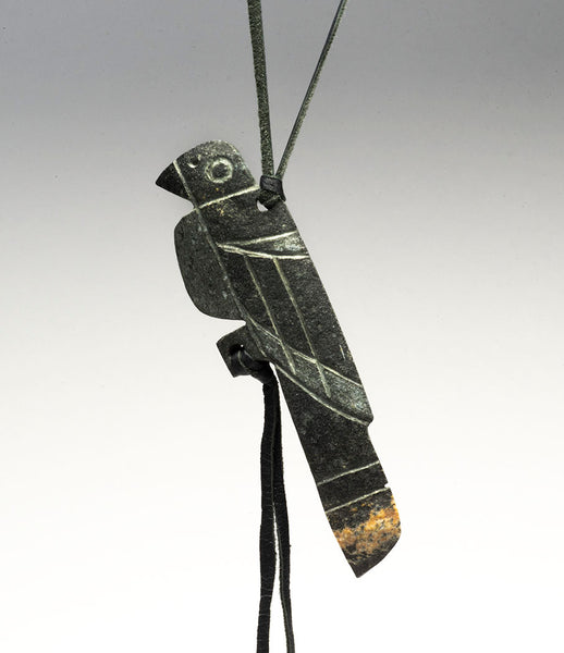Black-Billed Magpie