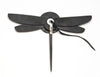 Dragonfly Doings